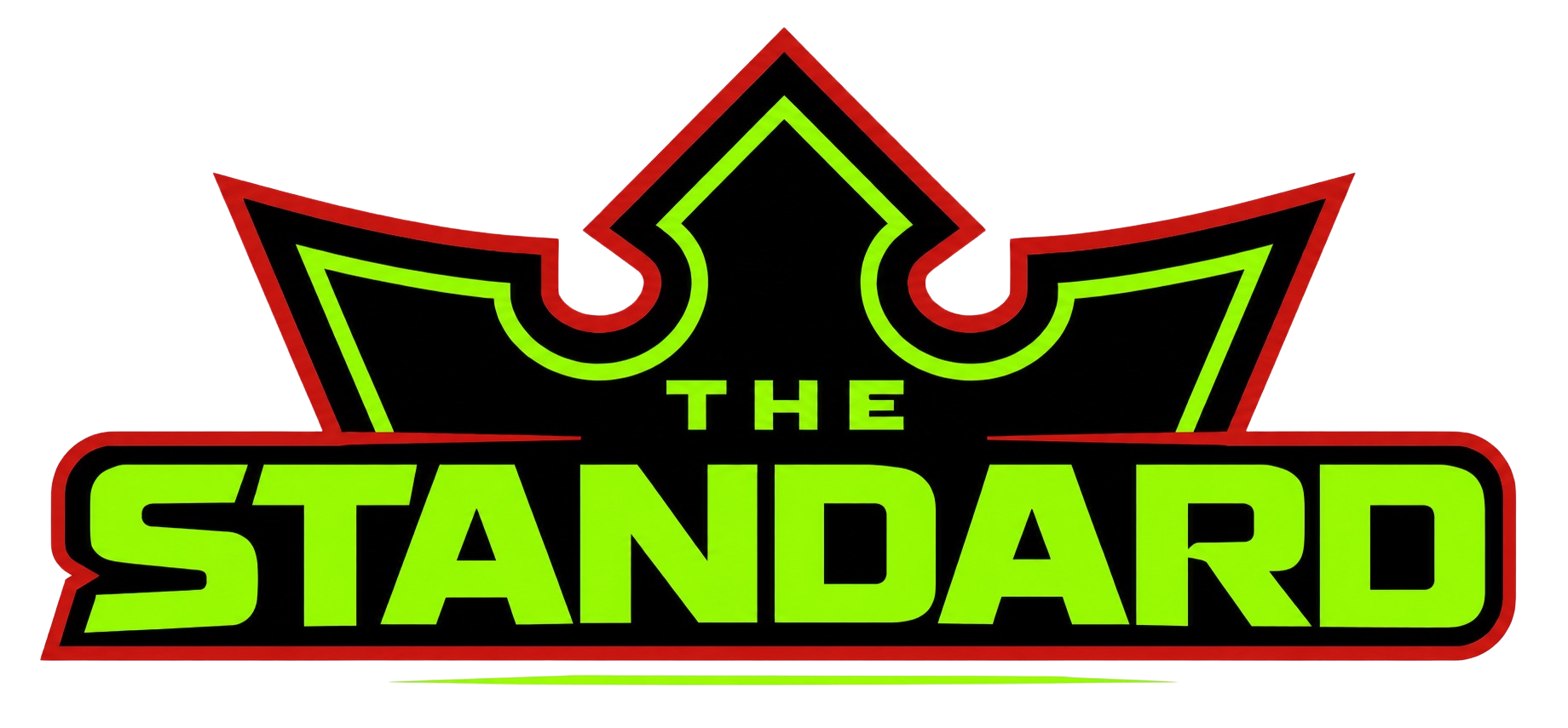 The Standard Basketball